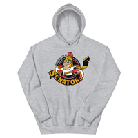 Binghamton Senators (XL logo)