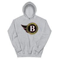 Binghamton Senators (XL logo)