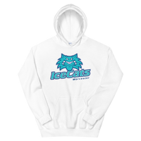 Worcester IceCats (XL logo)