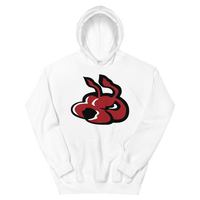 Fayetteville FireAntz (XL logo)