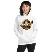 Binghamton Senators (XL logo)