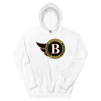 Binghamton Senators (XL logo)