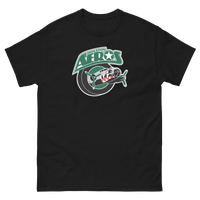 Houston Aeros
