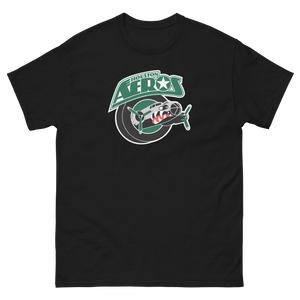 Houston Aeros