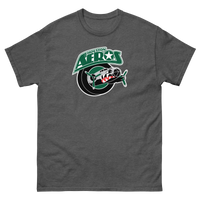 Houston Aeros
