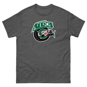 Houston Aeros