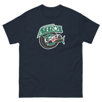 Houston Aeros
