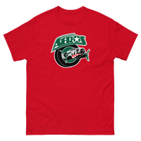 Houston Aeros
