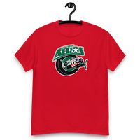 Houston Aeros
