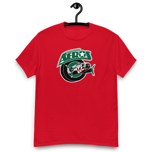 Houston Aeros