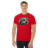 Houston Aeros
