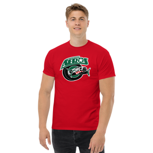 Houston Aeros