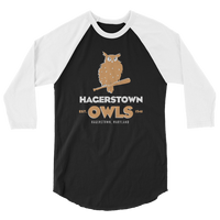 Hagerstown Owls
