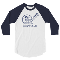 Ventura County Gulls

