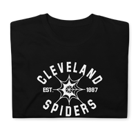 Cleveland Spiders
