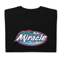 Fort Myers Miracle
