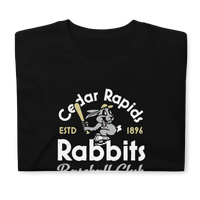 Cedar Rapids Rabbits