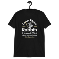 Cedar Rapids Rabbits