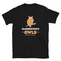 Hagerstown Owls
