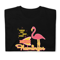 Miami Beach Flamingos
