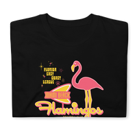 Miami Beach Flamingos