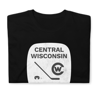 Central Wisconsin Flyers
