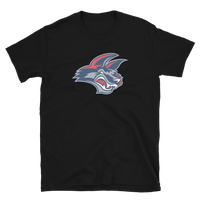 Elmira Jackals