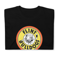 Flint Bulldogs
