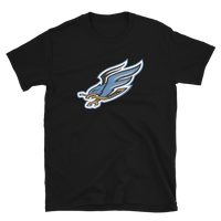 Fresno Falcons
