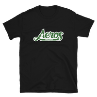 Houston Aeros
