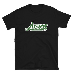 Houston Aeros