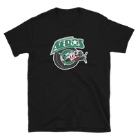 Houston Aeros