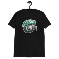 Houston Aeros
