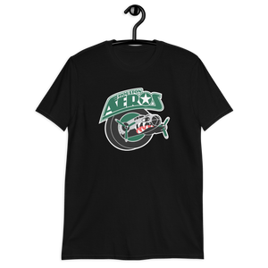 Houston Aeros