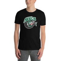 Houston Aeros
