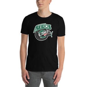 Houston Aeros