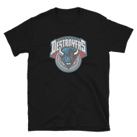 Buffalo Destroyers
