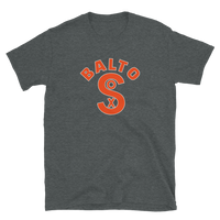 Baltimore Black Sox
