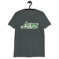 Houston Aeros
