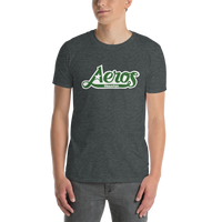 Houston Aeros
