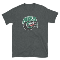 Houston Aeros
