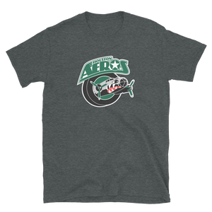 Houston Aeros