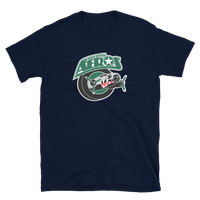 Houston Aeros
