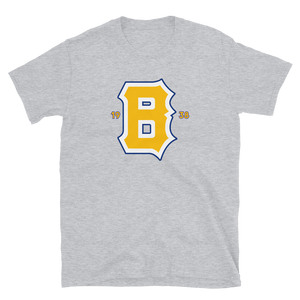 Boston Bees