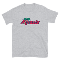 Fort Myers Miracle
