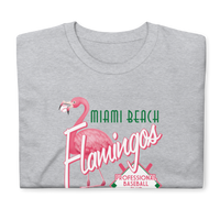 Miami Beach Flamingos
