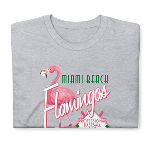 Miami Beach Flamingos