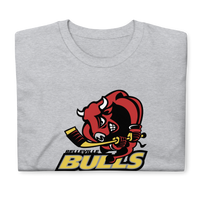Belleville Bulls
