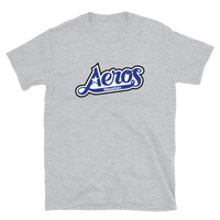 Houston Aeros
