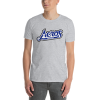 Houston Aeros